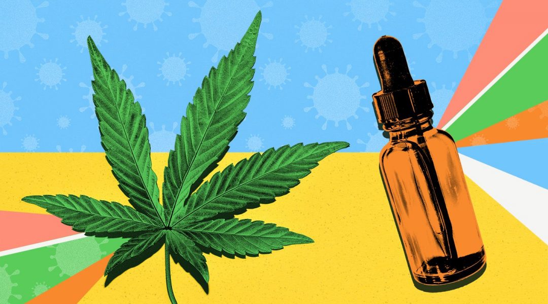 What Are The Best CBD Products